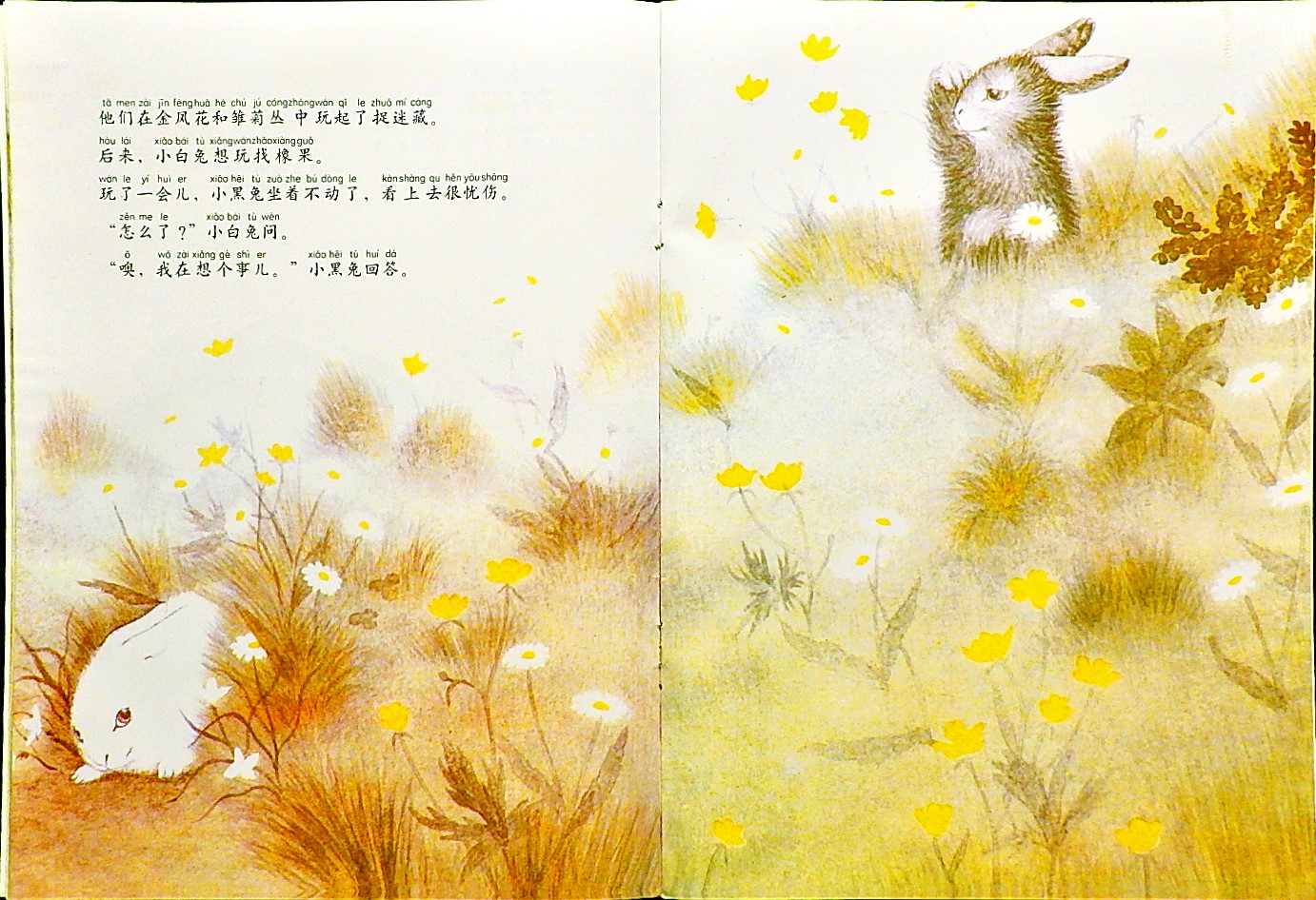 黑兔和白兔 (07),绘本,绘本故事,绘本阅读,故事书,童书,图画书,课外阅读